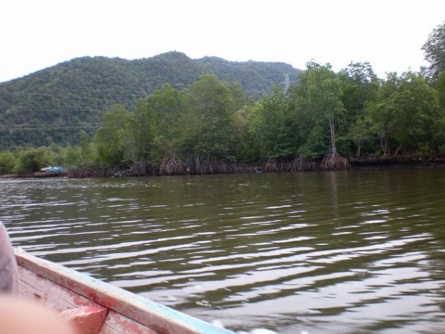 SANY7246.jpg